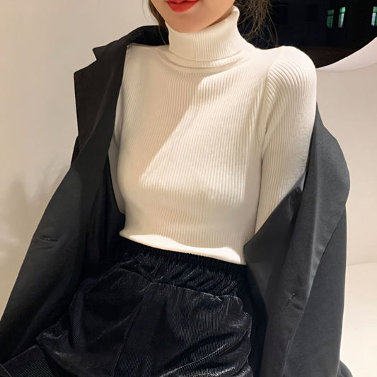 Ribbed Turtleneck Long Sleeve Sweater Top for Women - Sonia