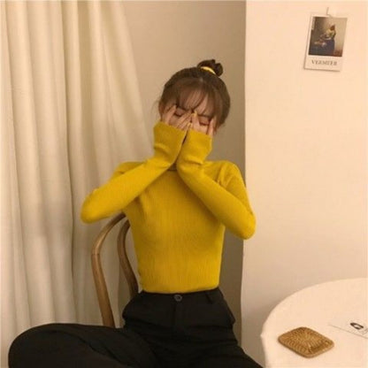 Ribbed Turtleneck Long Sleeve Sweater Top for Women - Sonia