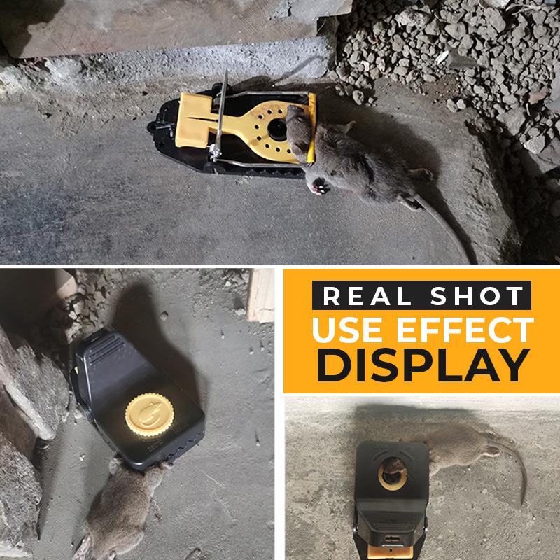 Empfindliche automatische Mausefalle 🔥 heißer Verkauf 🔥