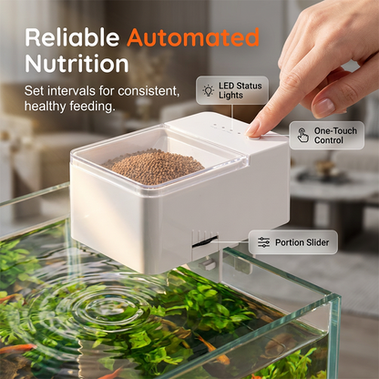 🐟⏱️ Automatischer Fischfutterspender mit Timer – präzise Portionen, Urlaubs-Fütterung, jetzt −50%